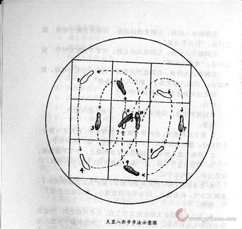 天罡八卦步|道家天罡八步教程：据记载诸葛亮曾经用此步法“借东。